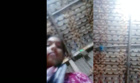 29874154 Recorded on Aug 31, 2026, 7:51 AM
